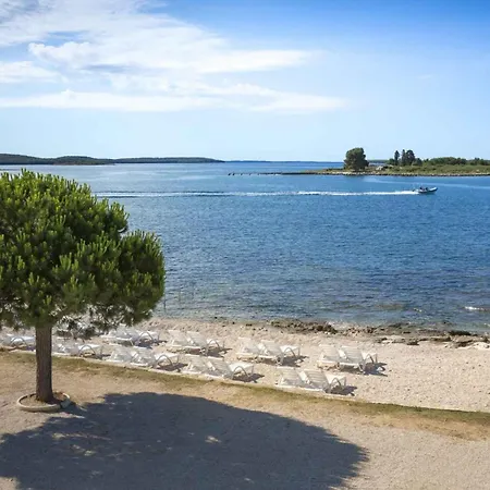 With Pool In Rovinj-istrien 50061 Apartament *