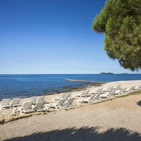Apartament With Pool In Rovinj-istrien 50061