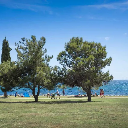 Apartament With Pool In Rovinj-istrien 50061 *