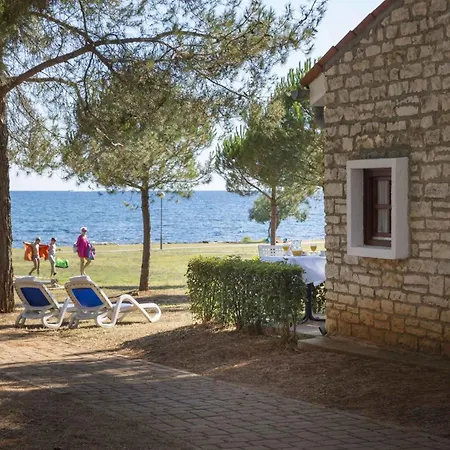 With Pool In Rovinj-istrien 50061 Appartamento Rovigno