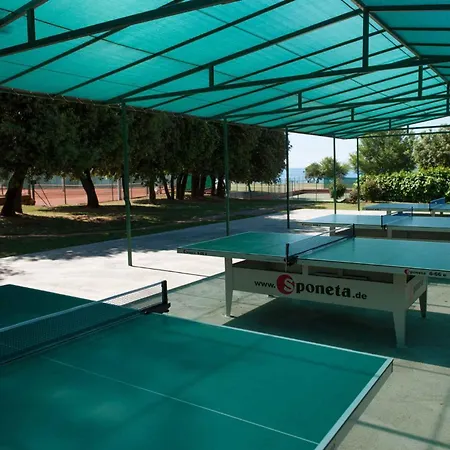 With Pool In Rovinj-istrien 50061 Appartamento
